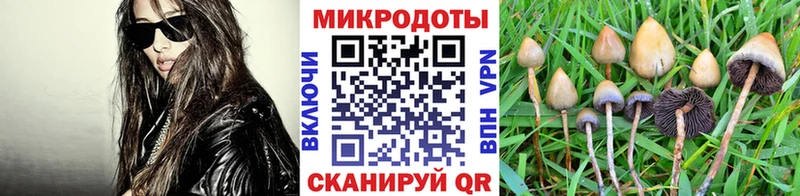 Псилоцибиновые грибы мухоморы  ссылка на мегу   Барыш 